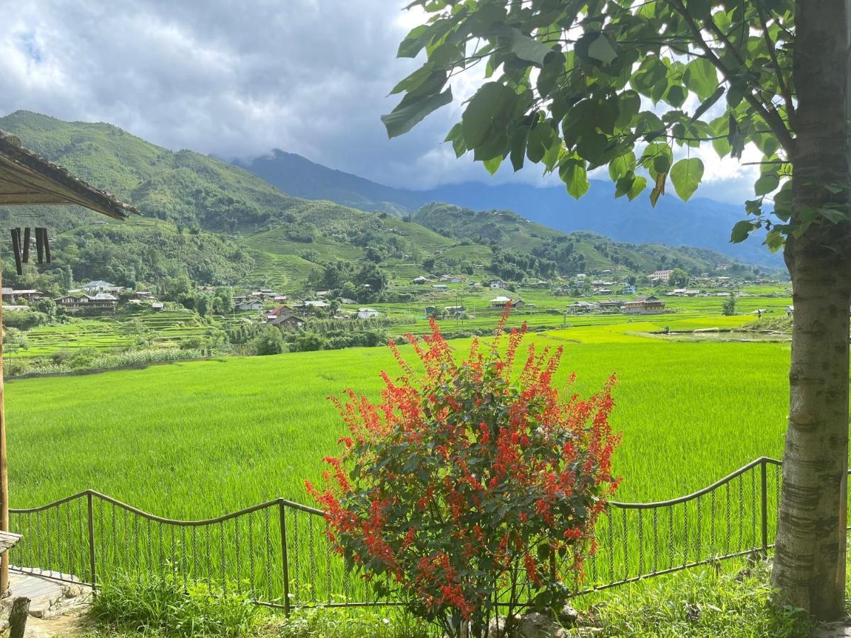 Pensjonat Sapa Bamboo Eco Zewnętrze zdjęcie