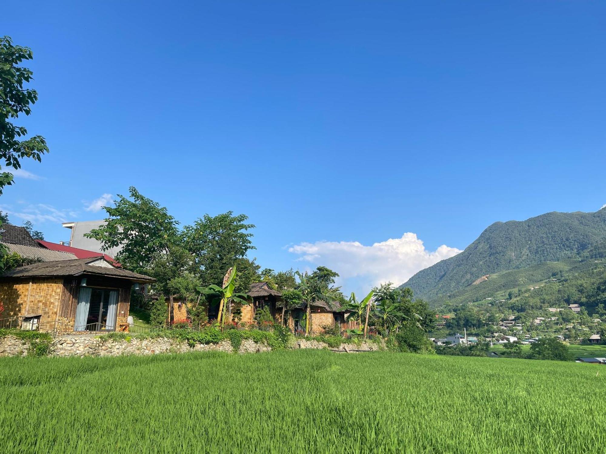 Pensjonat Sapa Bamboo Eco Zewnętrze zdjęcie