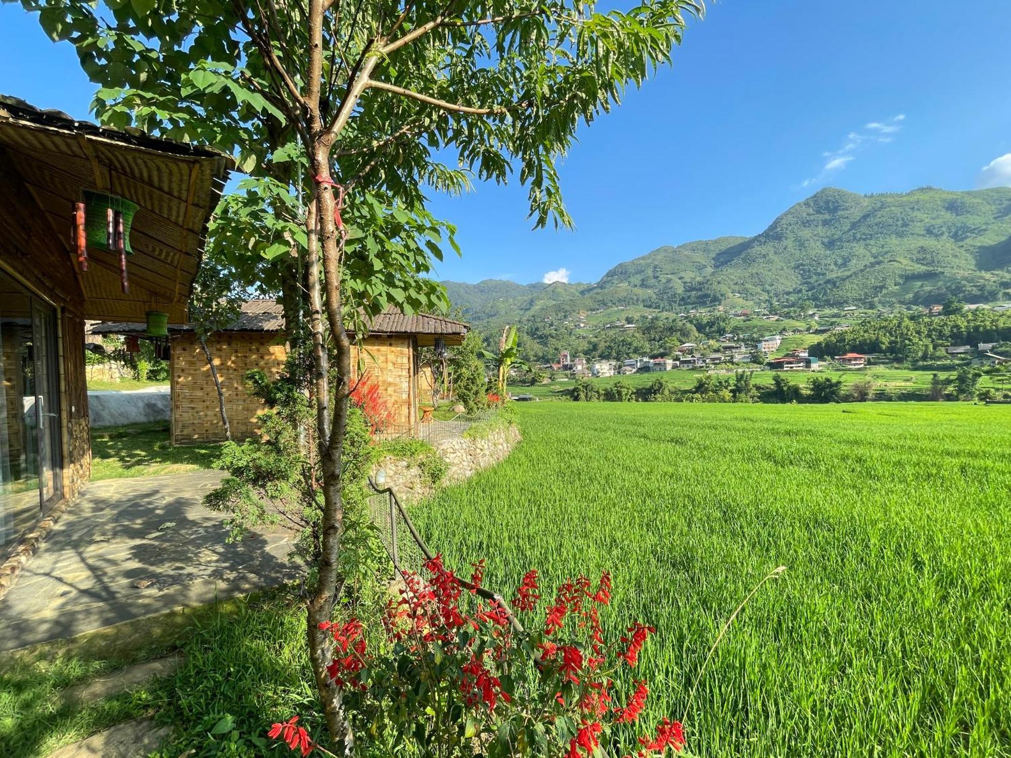 Pensjonat Sapa Bamboo Eco Zewnętrze zdjęcie